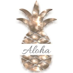 Meet your Posher, Kapika's